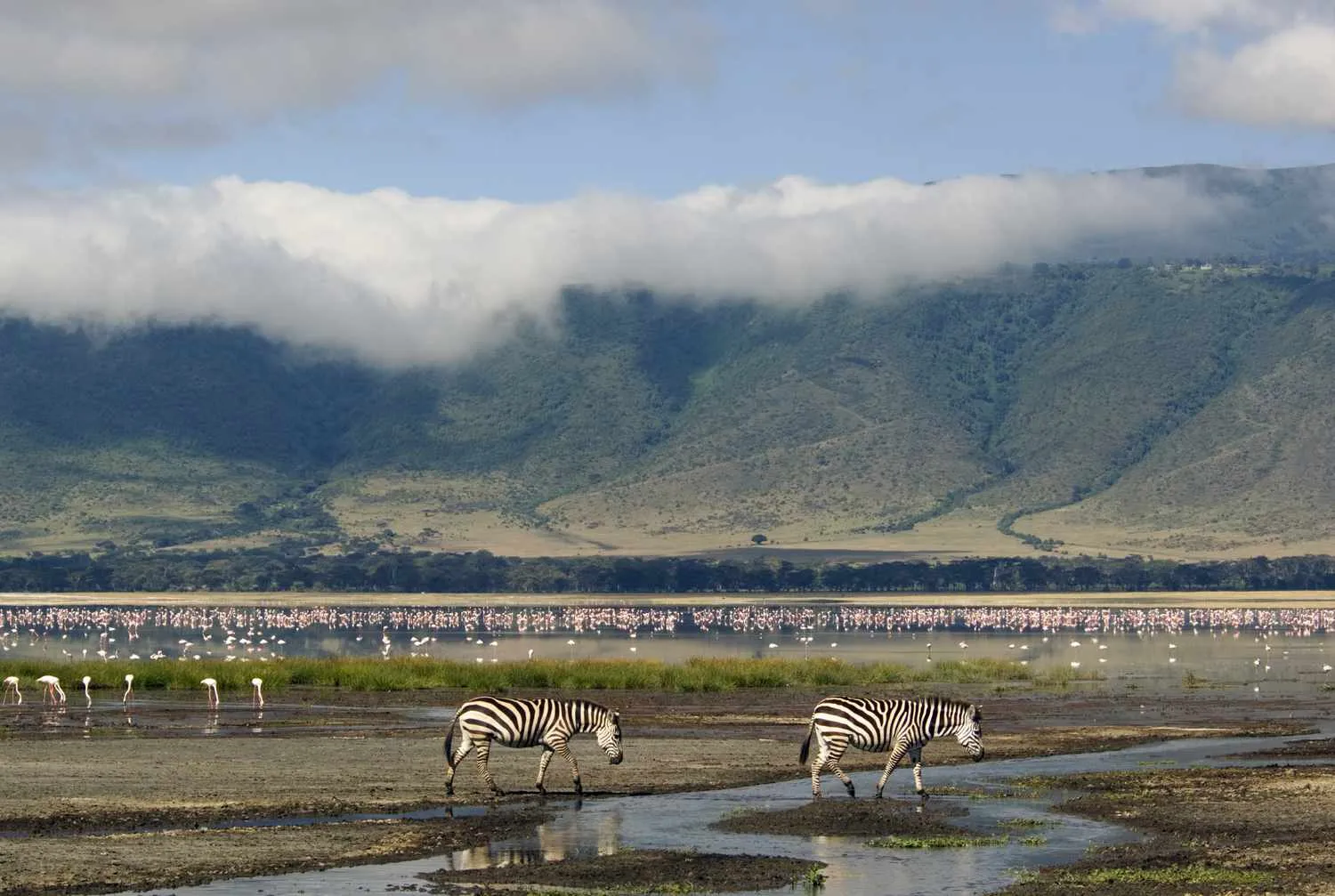 3 Days Safari to Serengeti and Ngorongoro Crater from Zanzibar photo 4