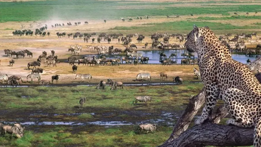 2 Days Safari from Zanzibar to Tarangire and Ngorongoro photo 3