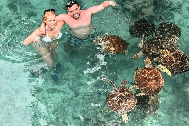 Swimming with Turtles photo 4