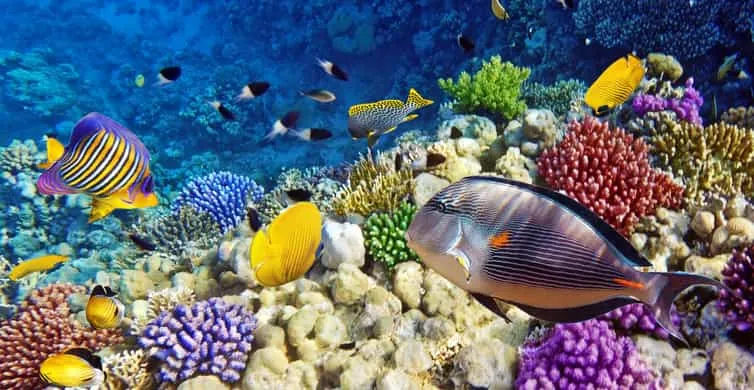 Zanzibar 10 Days / 9 Nights photo 3