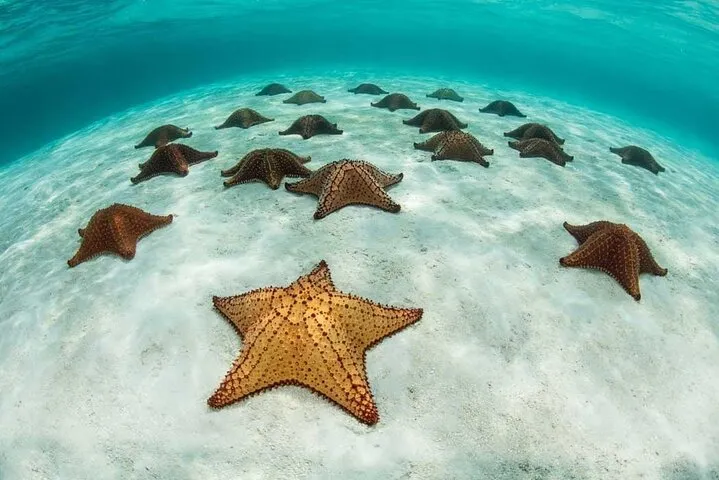 Snorkeling Blue Lagoon Tour photo 2