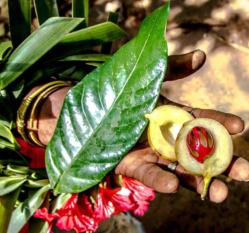 Zanzibar Spice Tour photo 2