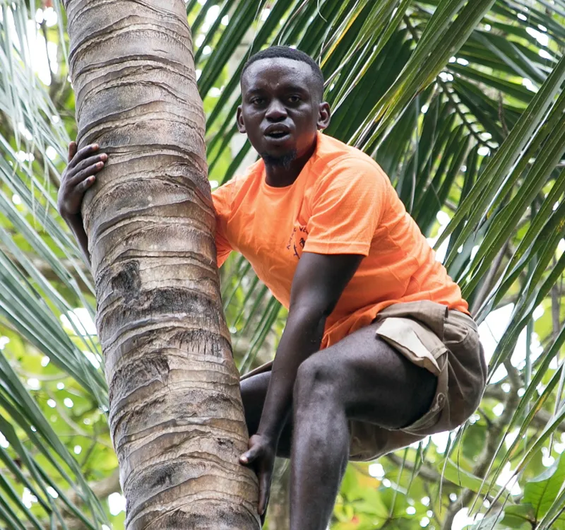 Spice farm tour