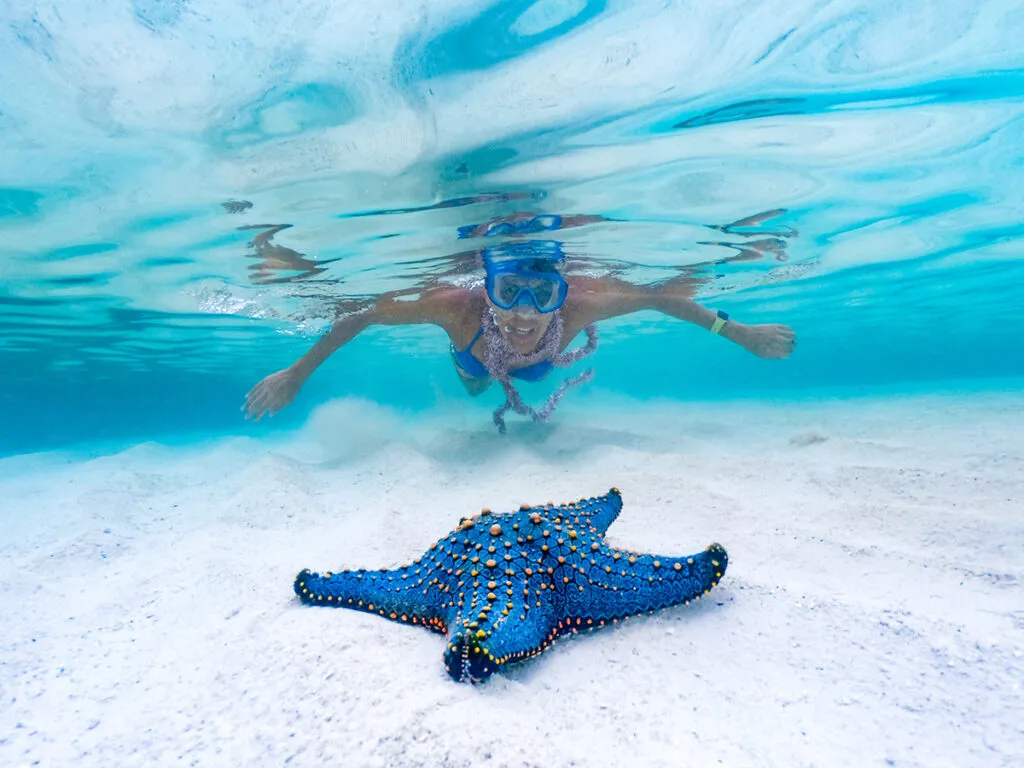 Snorkeling Blue Lagoon Tour photo 3
