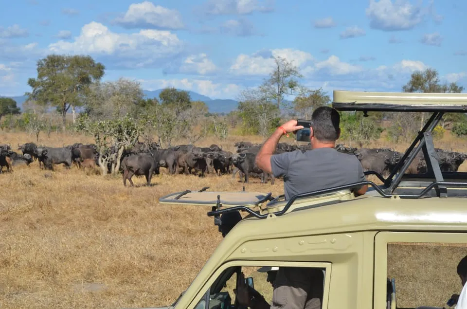3 Days Mikumi Safari from Zanzibar | With Masai Village photo 2