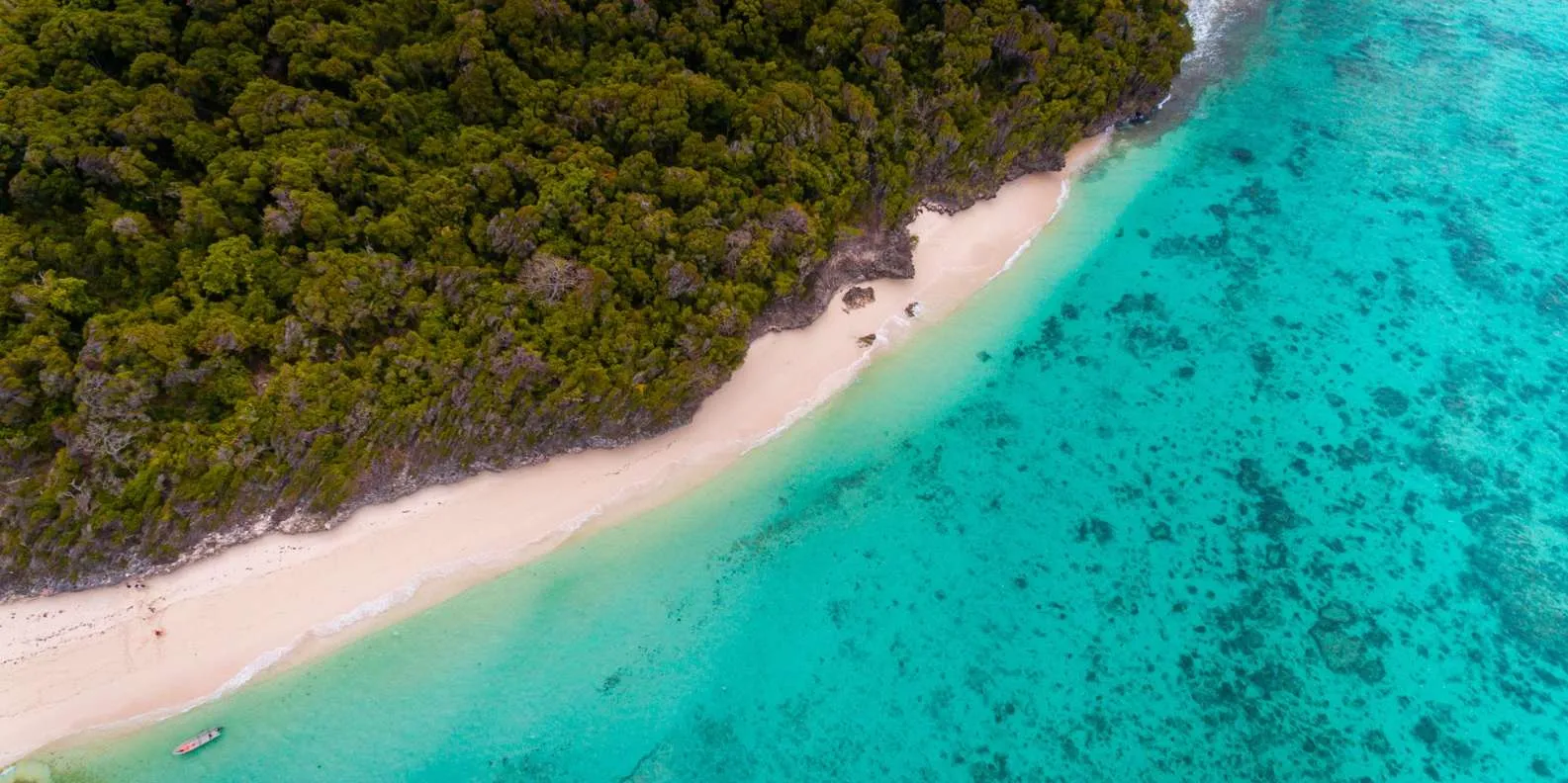 Pungume Island Tour photo 3