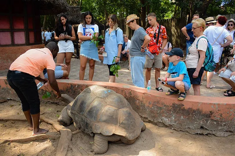 Prison Island Tour and Nakupenda Sandbank Tour photo 3