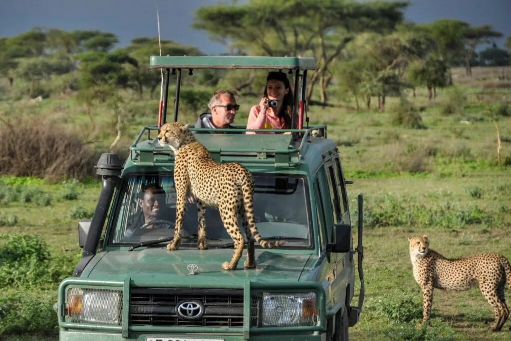 2 Days Selous Safari from Zanzibar photo 3