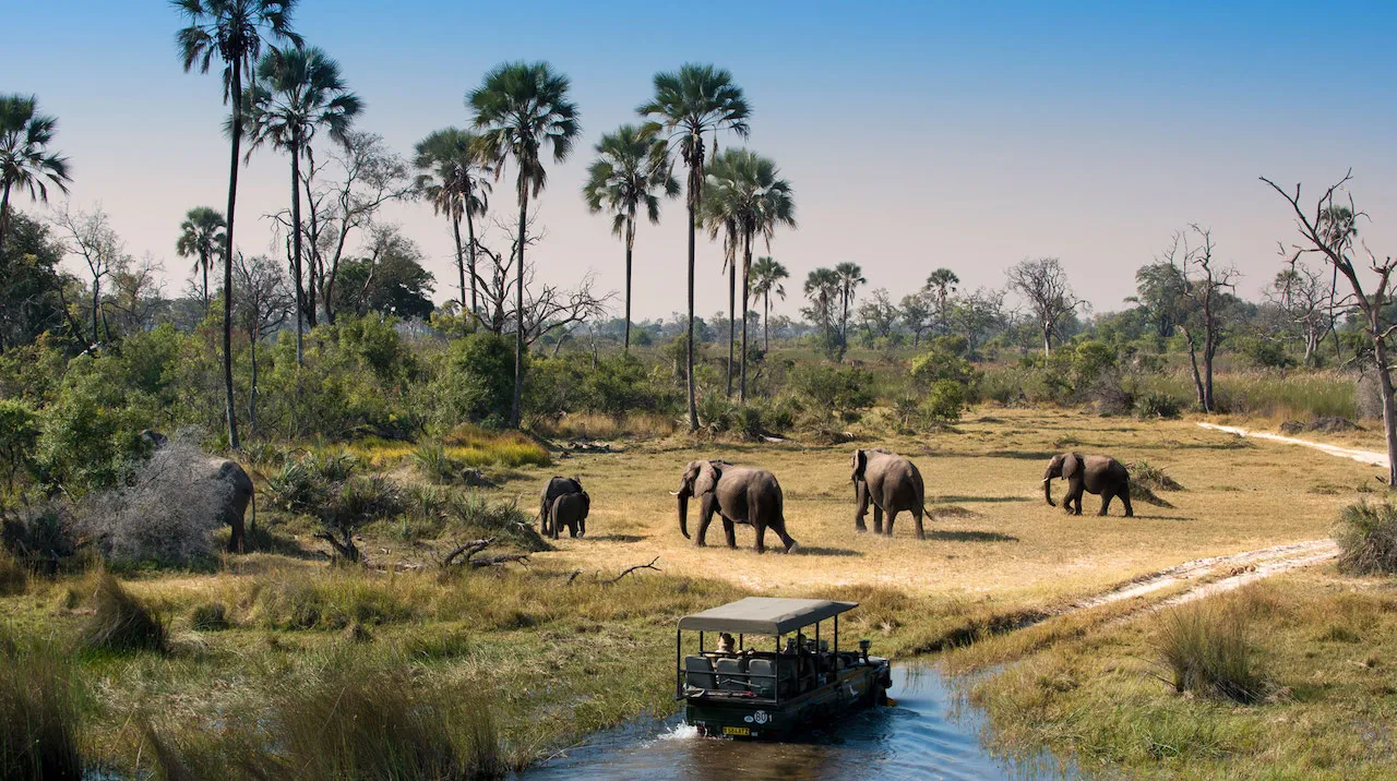 2 Days Selous Safari from Zanzibar