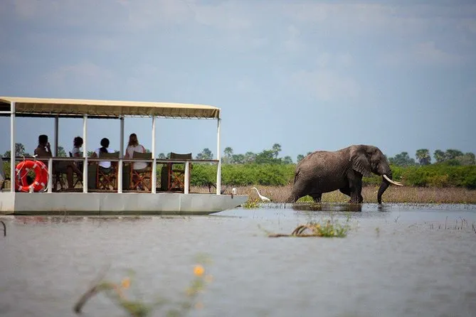 selous safari from Zanzibar - boat safari