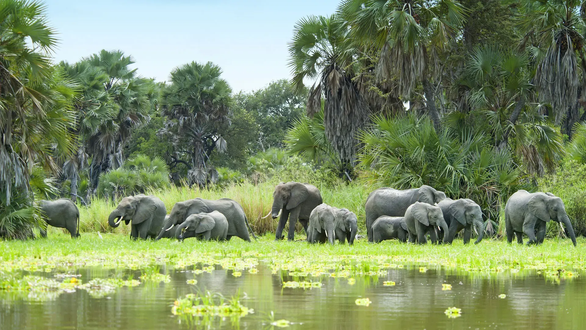 Selous Day Trip Safari From Zanzibar