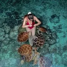 Mnemba Island Tour and Swimming with Turtles photo 4
