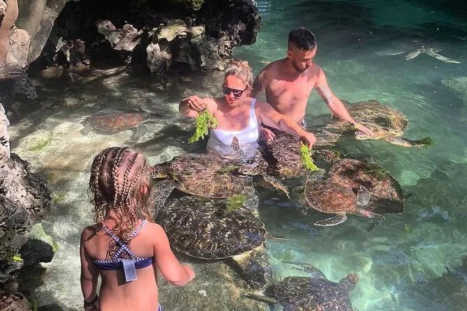 Swimming with sea turtles